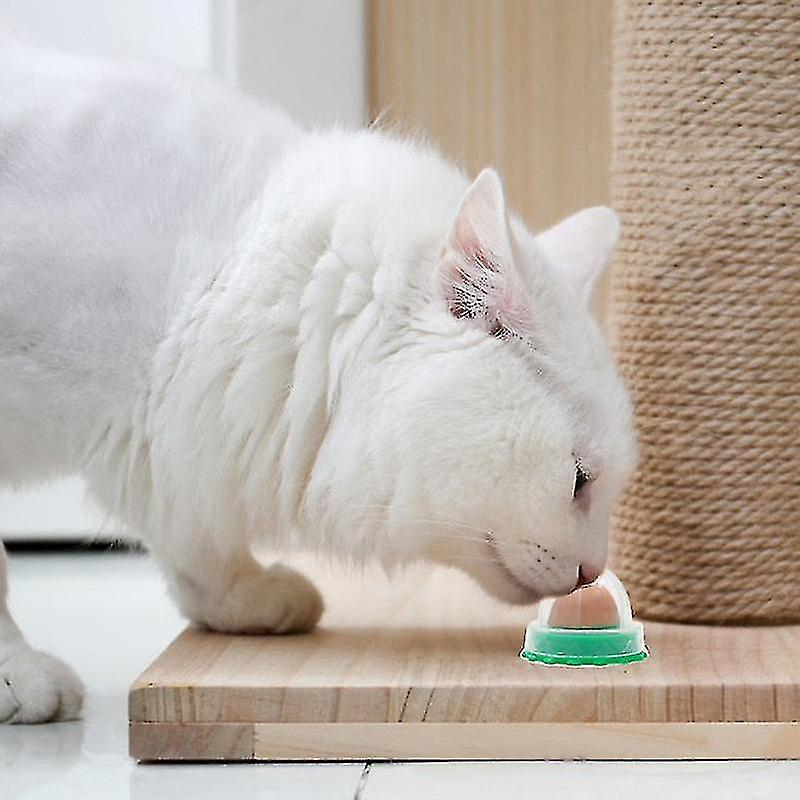 Foto 4 | Juguete Para Gatos Huoguo, Bocadillos Saludables Para Gatos Y Mascotas, Hierba Gatera, Azúcar - Venta Internacional.