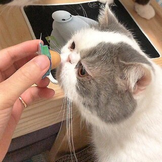 Foto 5 | Juguete Para Gatos Huoguo, Bocadillos Saludables Para Gatos Y Mascotas, Hierba Gatera, Azúcar - Venta Internacional.