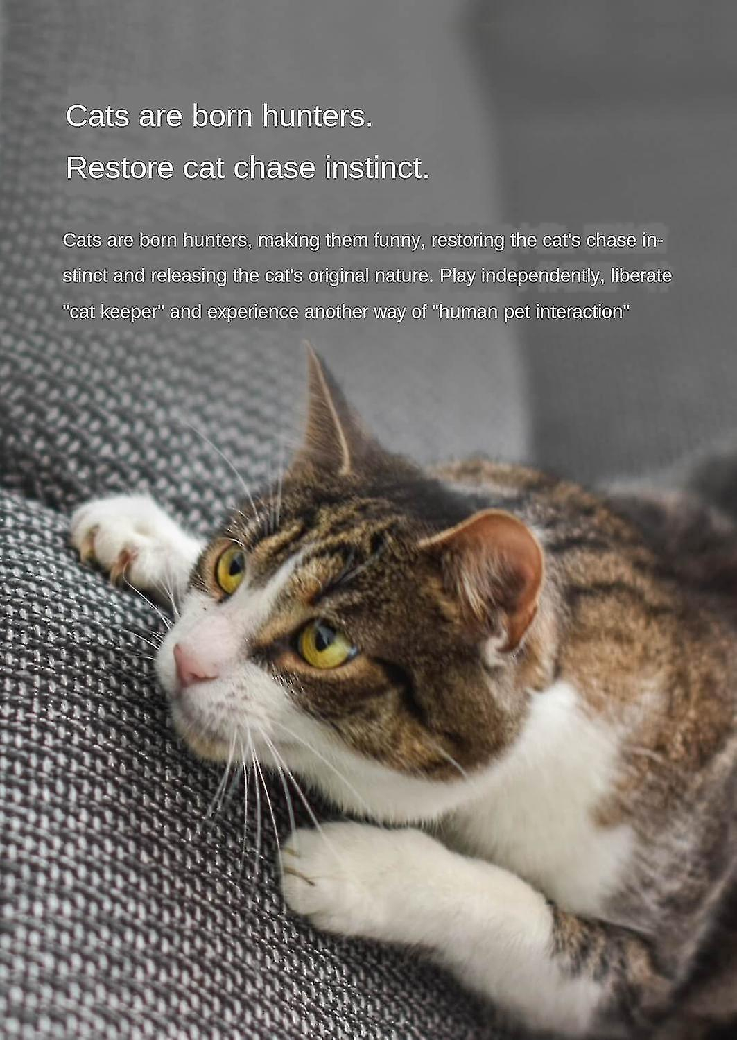 Foto 5 pulgar | Juguete Para Gatos Xiaomi Laser Red Dot Pet Cats Teaser Usb Recargable - Venta Internacional.