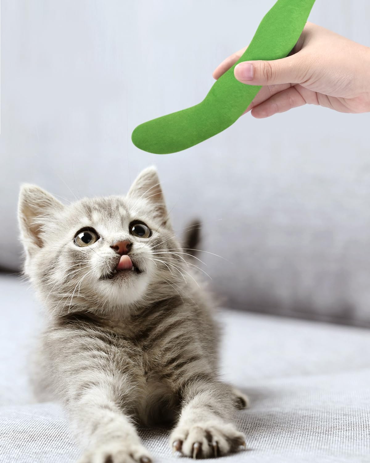 Foto 5 | Juguete De Hierba Gatera Ciyvolyeen Green Bean Para Gato Y Gatito, 4 Unidades - Venta Internacional.