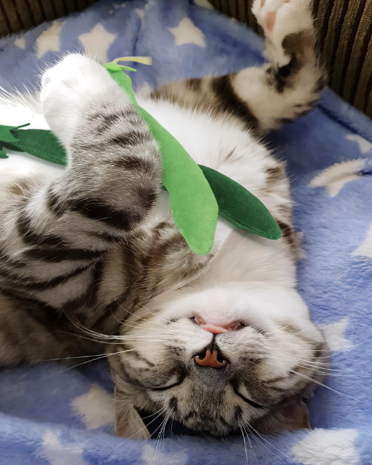 Foto 6 | Juguete De Hierba Gatera Ciyvolyeen Green Bean Para Gato Y Gatito, 4 Unidades - Venta Internacional.