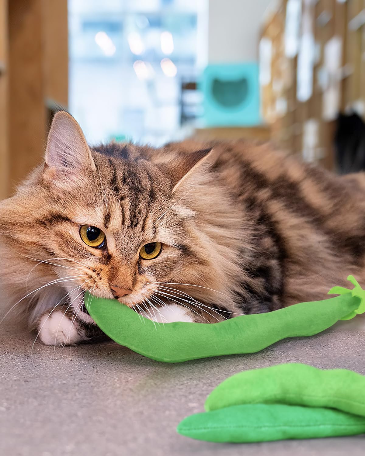 Foto 7 | Juguete De Hierba Gatera Ciyvolyeen Green Bean Para Gato Y Gatito, 4 Unidades - Venta Internacional.