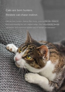 Foto 4 | Juguete Para Gatos Xiaomi Laser Red Dot Pet Cats Teaser Usb Recargable - Venta Internacional.