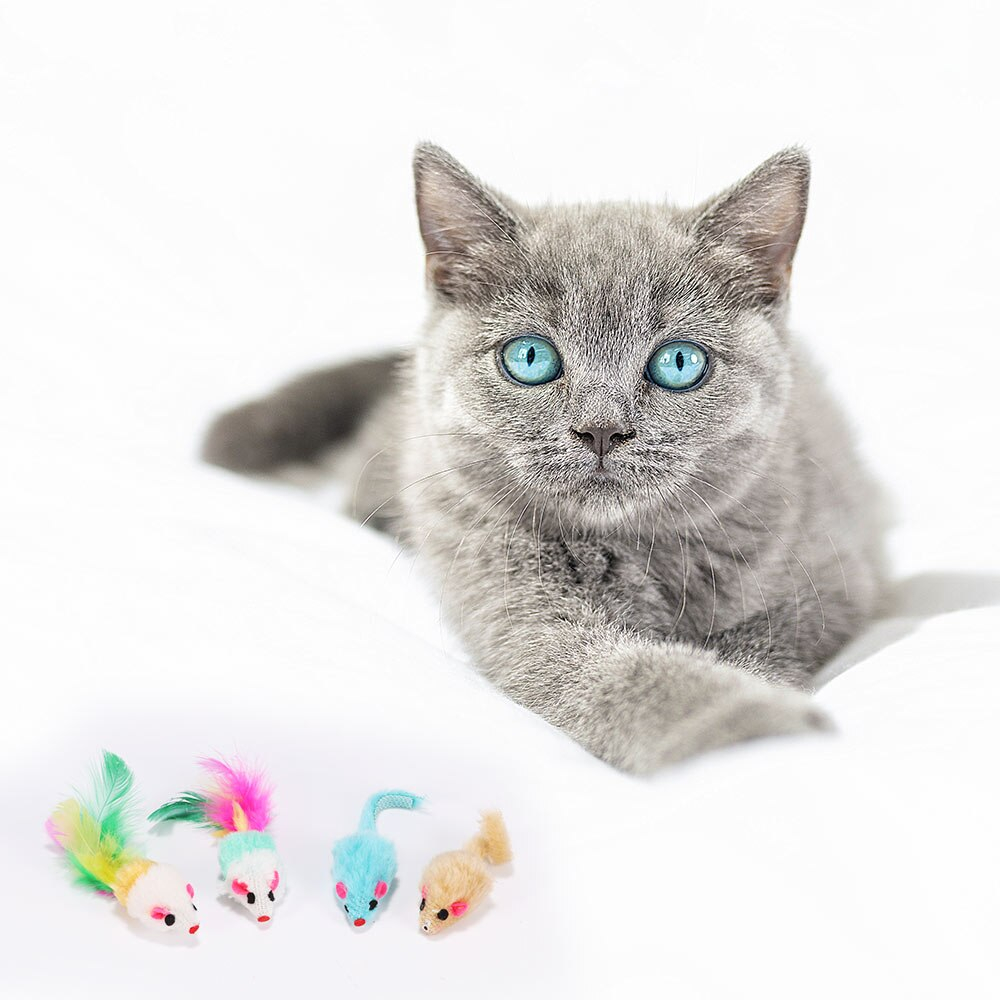 Foto 4 pulgar | Juego De Juguetes Para Gatos, Varita De Plumas Con Campana, Ratón, Jaula, Juguetes Para Gatos - Venta Internacional.