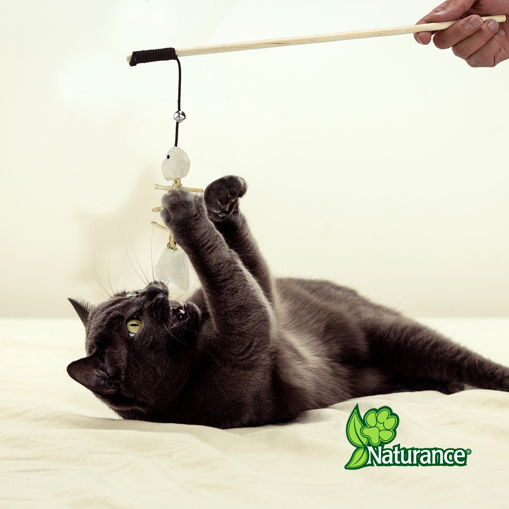 Foto 4 pulgar | Naturance Ecoplay Juguete Caña Con Pescado Para Gato