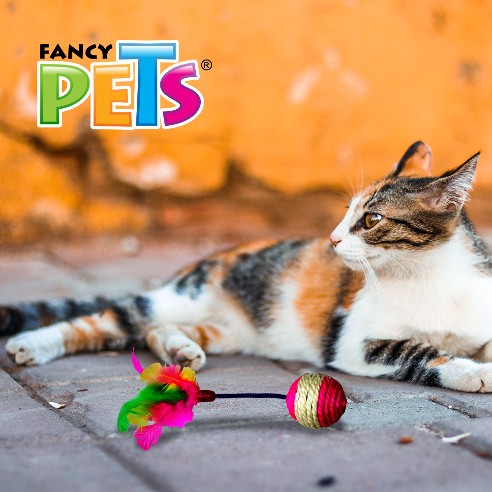 Foto 4 pulgar | Fancy Pets Juguete De Pelota Con Plumas Para Gato varicolor