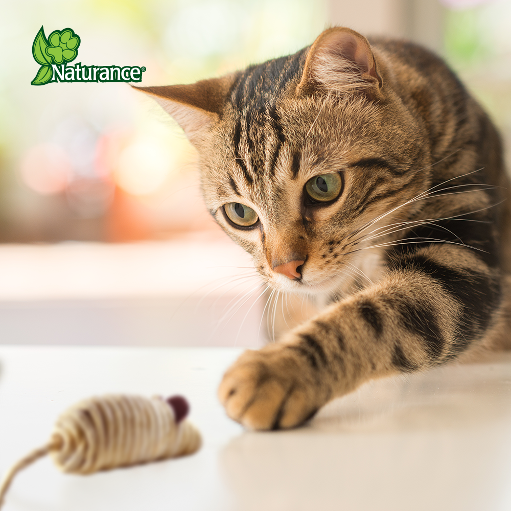 Foto 3 | Naturance Ecoplay Juguete Ratón Para Gato Con 2 Piezas