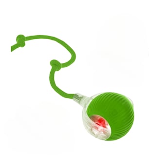 Foto 1 | Pelota Interactiva Eléctrica Xtellar Para Gatos - Diversión Garantizada 360°