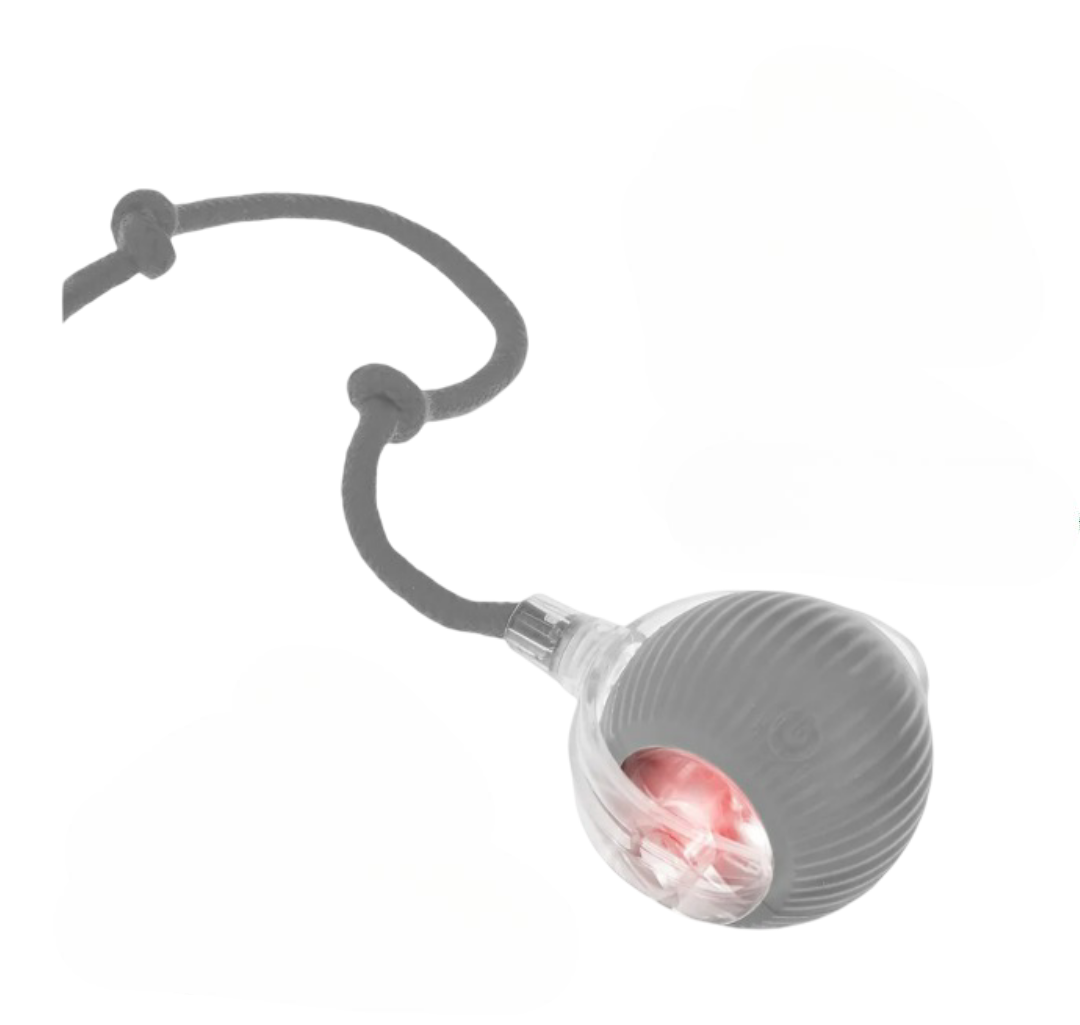 Foto 2 pulgar | Pelota Interactiva Eléctrica Xtellar Para Gatos - Diversión Garantizada 360°