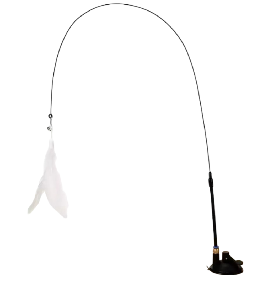 Foto 2 pulgar | Xtellar Juguete Interactivo Para Gatos  Simulador De Pájaro Con Caña De Pesca Y Ventosa  Negro