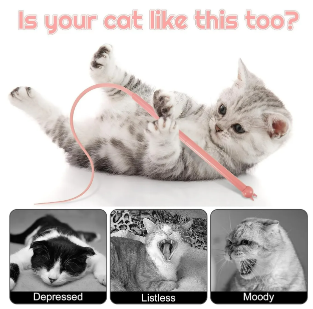 Foto 4 pulgar | Set Xtellar De 2 Juguetes Interactivos Premium Para Gatos Con Cola De Rata De Silicona – Experiencia Lúdica Y Saludabl