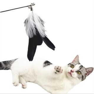 Foto 2 | Varita Xtellar Plumas Pro Gatos Juguete Interactivo Extensible