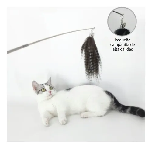 Foto 4 pulgar | Varita Xtellar  Plumas Pro Gatos Juguete Interactivo Extensible