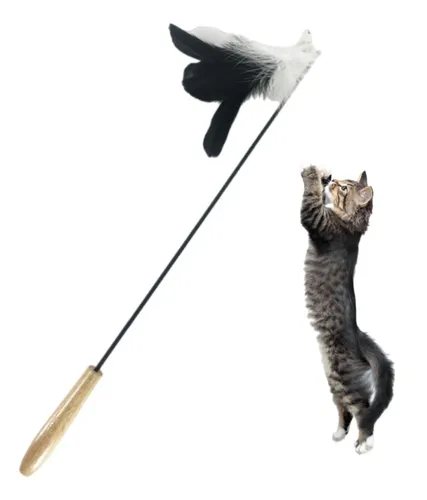 Foto 1 | Varita Plumas  Xtellar Pro Gatos Juguete Interactivo Extensible
