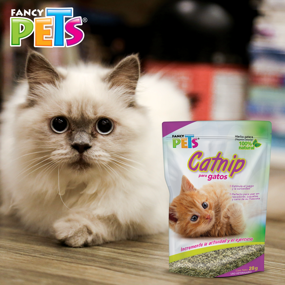 Foto 5 pulgar | Catnip para Gato o Hierba Gatera Fancy Pets FL3922 28 g
