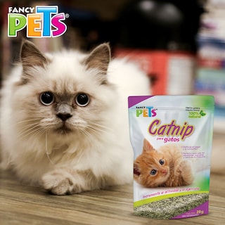 Foto 4 | Catnip para Gato o Hierba Gatera Fancy Pets FL3922 28 g