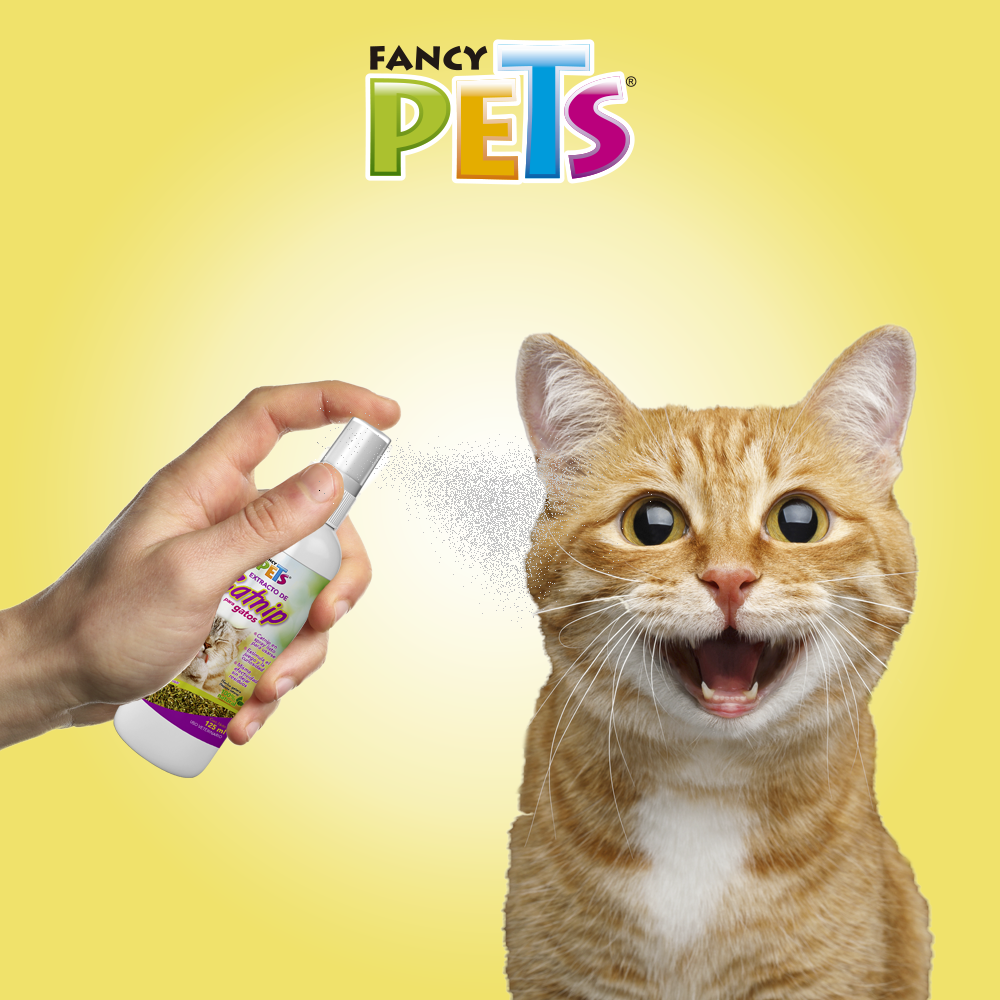 Foto 3 pulgar | Catnip en Spray Fancy Pets FL3915 para Gatos 125 ml