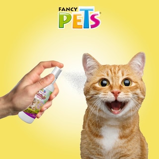 Foto 2 | Catnip en Spray Fancy Pets FL3915 para Gatos 125 ml