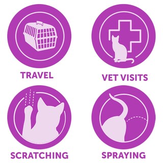 Foto 3 | Spray Feliway Classic Para Gatos, 60 Ml, Para Viajes En Coche Y Visitas Al Veterinario - Venta Internacional.