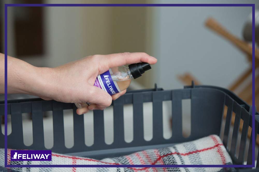 Foto 6 pulgar | Spray Feliway Classic Para Gatos, 60 Ml, Para Viajes En Coche Y Visitas Al Veterinario - Venta Internacional.