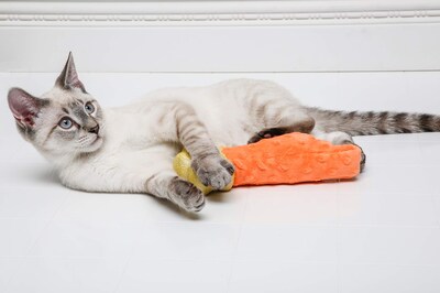 Foto 3 | Peluche Hartz Cattraction Shooting Star Para Gatos - Venta Internacional.