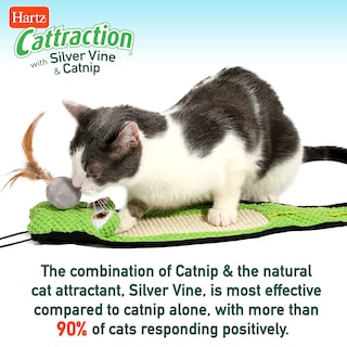 Foto 5 | Peluche Hartz Cattraction Shooting Star Para Gatos - Venta Internacional.