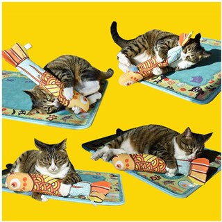 Foto 4 | Juguete Catnip Toy Con Forma De Pez Y Gato Para Gatitos De Interior (naranja) - Venta Internacional.