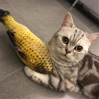 Foto 2 | Juguete Para Gatos, Peces, Hierba Gatera, Menta, Mascota Interactiva, 20 Cm - Venta Internacional.
