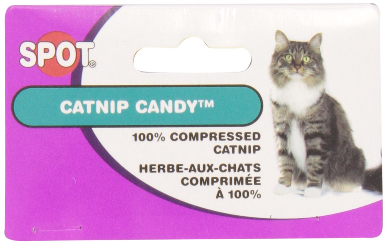 Foto 2 | Cat Toy Spot Ethical 100% Catnip Candy Mice, Paquete De 2 Unidades - Venta Internacional.