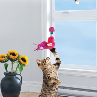 Foto 5 | Toy Kong Window Teaser Para Gatos - Venta Internacional.