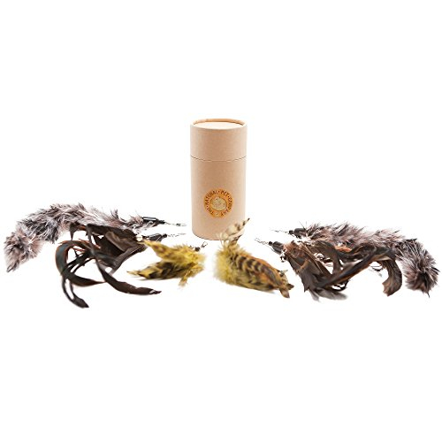 Foto 3 pulgar | Recambio De Plumas Para Juguetes Para Gatos, Paquete De 6 Unidades, Natural Pet Company - Venta Internacional.