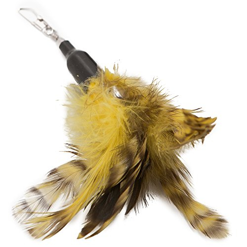 Foto 5 pulgar | Recambio De Plumas Para Juguetes Para Gatos, Paquete De 6 Unidades, Natural Pet Company - Venta Internacional.