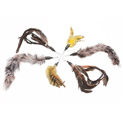 Foto 7 pulgar | Recambio De Plumas Para Juguetes Para Gatos, Paquete De 6 Unidades, Natural Pet Company - Venta Internacional.
