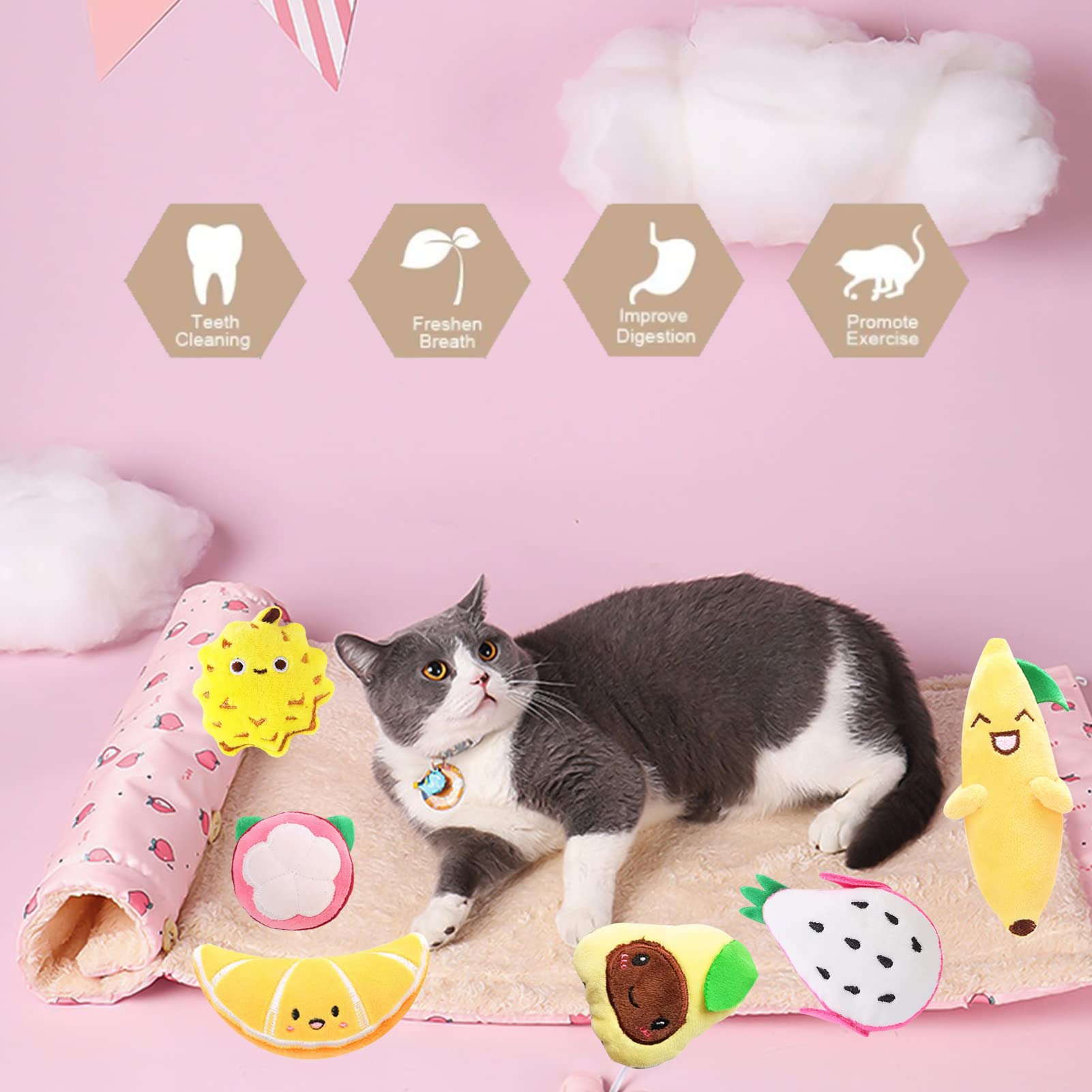 Foto 5 pulgar | Juego De Juguetes Para Gatos Con Diseño De Frutas, Hierba Gatera, Resistente A Picaduras, Paquete De 6 - Venta Int
