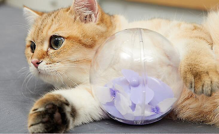 Foto 3 pulgar | Pelota Eléctrica Con Forma De Mariposa, Gato, De Juguete, Revoloteando, Púrpura, Huoguo - Venta Internacional.