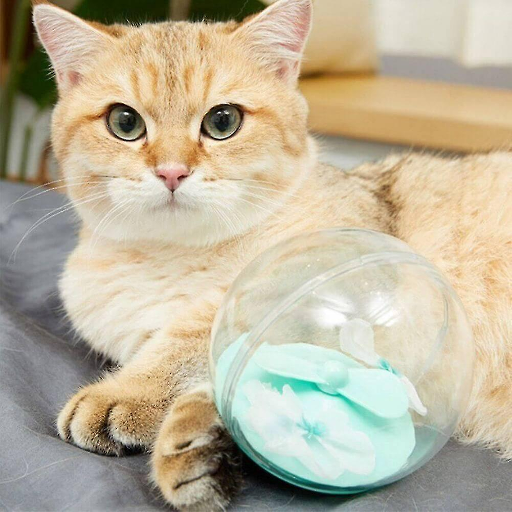 Foto 4 pulgar | Pelota Eléctrica Con Forma De Mariposa Cat Toy Para Gatos, Verde Huoguo - Venta Internacional.