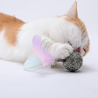 Foto 4 | Bola De Aperitivos Saludables Para Gatos Catnip Toy Huoguo Catmint, 70 G - Venta Internacional.