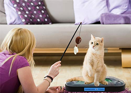Foto 2 | Campo De Fútbol Americano De Los Tennessee Titans De La Nfl Con Forma De Pluma De Gato - Venta Internacional.