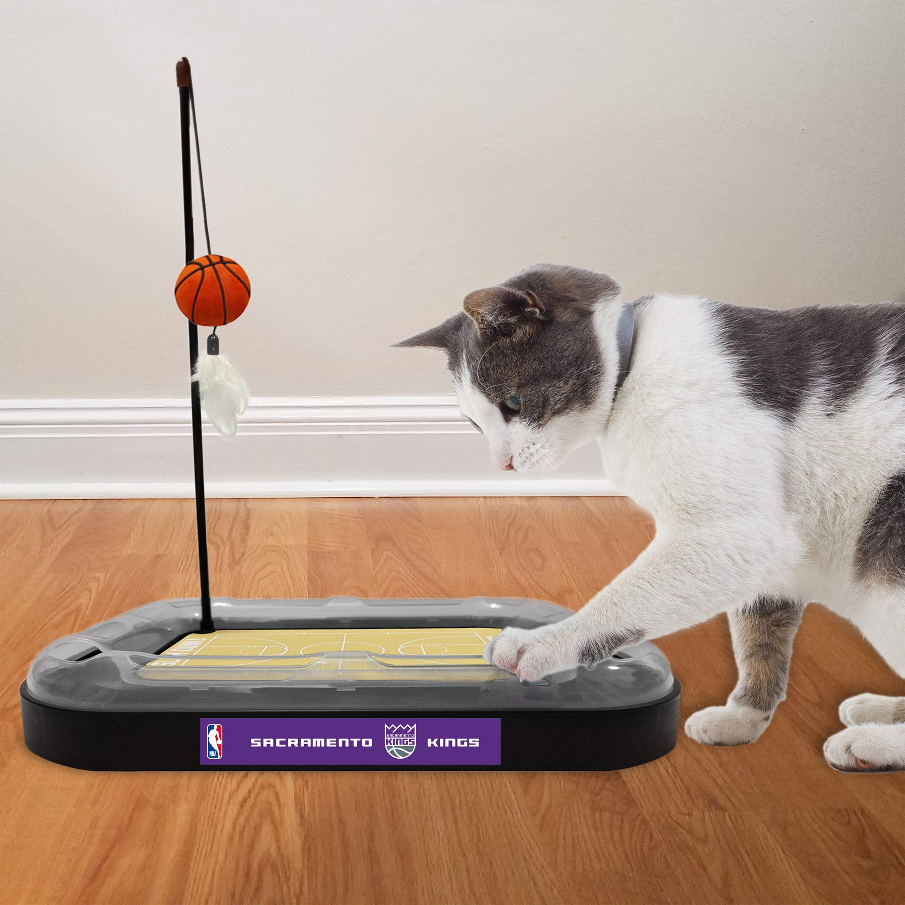 Foto 2 pulgar | Pelota De Baloncesto Cat Scratcher Toy Pets First Sacramento Kings - Venta Internacional.