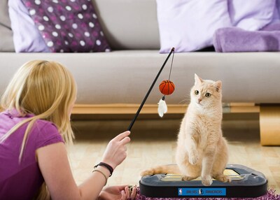 Foto 6 | Cat Scratcher Toy Pets, La Primera Pelota De Baloncesto De Los Dallas Mavericks - Venta Internacional.