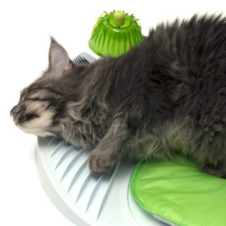 Foto 3 | Catnip Spray Catit Senses 2.0 60 Ml Para Accesorios Para Gatos - Venta Internacional.