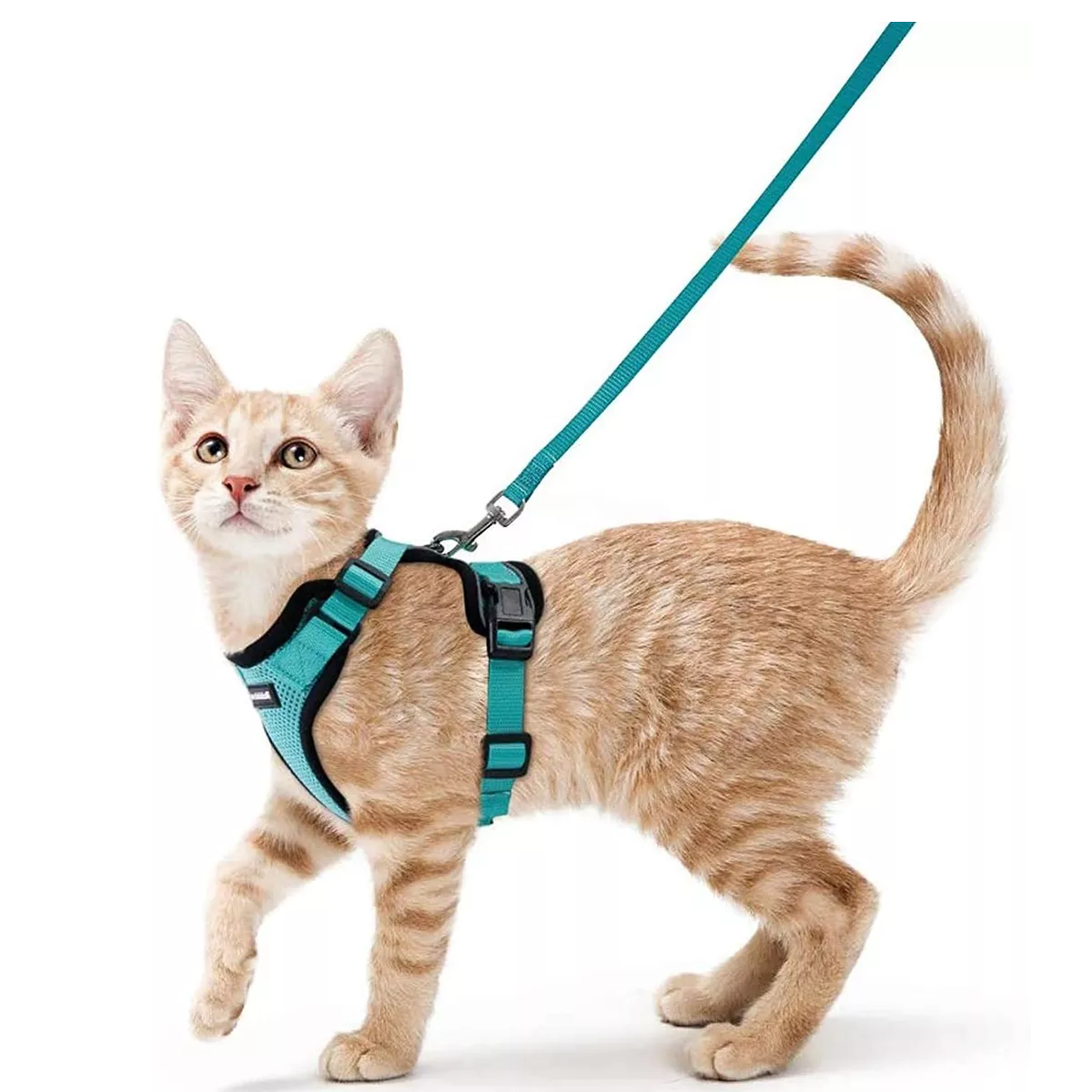 Foto 3 pulgar | Arnes para Gato Eo Safe Imports Esi-8657 color Verde Antiescape y Ajustable con Correa
