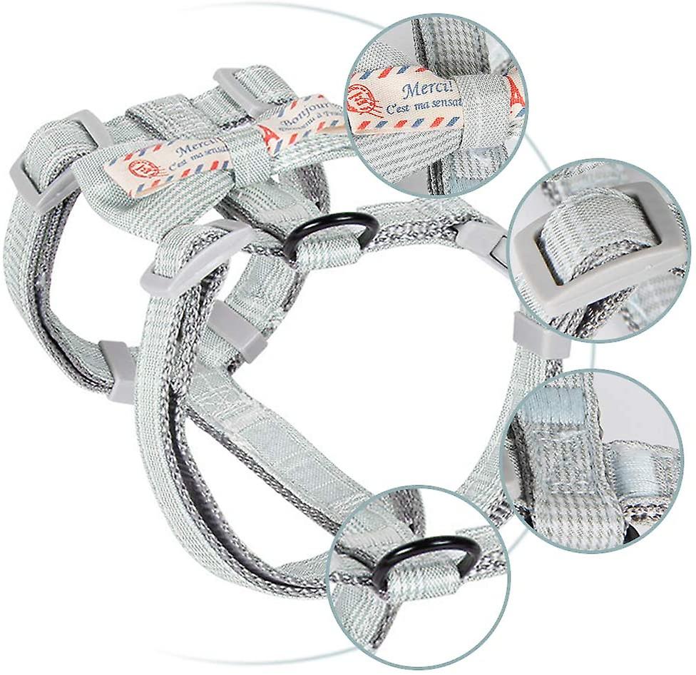 Foto 4 pulgar | Juego De Arneses Para Gatos Huoguo Escape Proof Con Correa Para Gatos Pequeños - Venta Internacional.