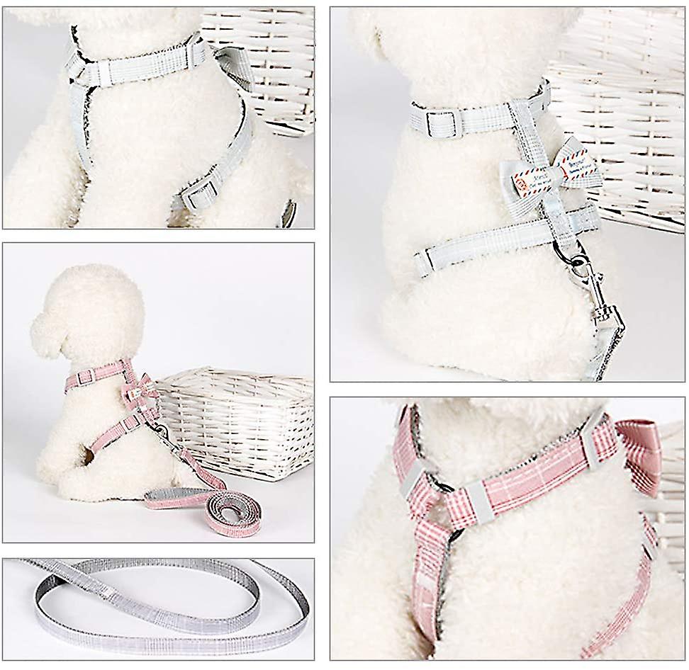 Foto 5 pulgar | Juego De Arneses Para Gatos Huoguo Escape Proof Con Correa Para Gatos Pequeños - Venta Internacional.