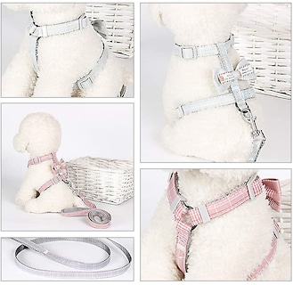 Foto 4 | Juego De Arneses Para Gatos Huoguo Escape Proof Con Correa Para Gatos Pequeños - Venta Internacional.