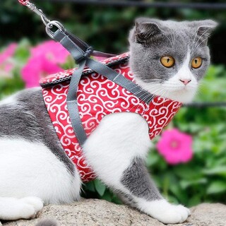 Foto 2 | Juego De Arneses Para Gatos Huoguo, A Prueba De Fugas, Acolchado Y Lino - Venta Internacional.