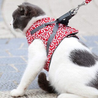 Foto 3 | Juego De Arneses Para Gatos Huoguo, A Prueba De Fugas, Acolchado Y Lino - Venta Internacional.