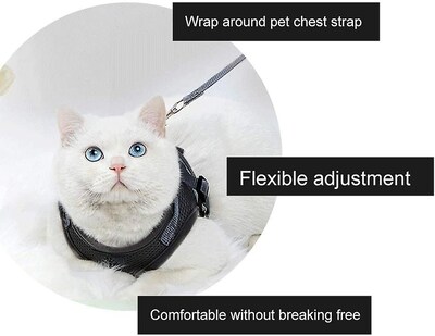 Foto 4 | Juego De Arneses Para Gatos Huoguo, Cómodo Y Ligero - Venta Internacional.