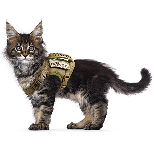 Foto 1 | Arnés Táctico A Prueba De Escape Para Gatos Grandes - Venta Internacional.