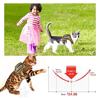 Foto 3 | Arnés Táctico A Prueba De Escape Para Gatos Grandes - Venta Internacional.